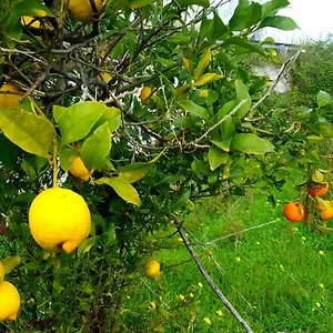 https://archimede-vacanze-bb.sicilyhotelsitaly.net